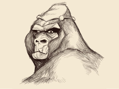 Angry Bear Sketch